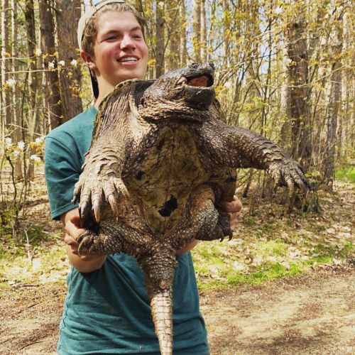 A photo of Donnie Brady holding a snapping turtle.
