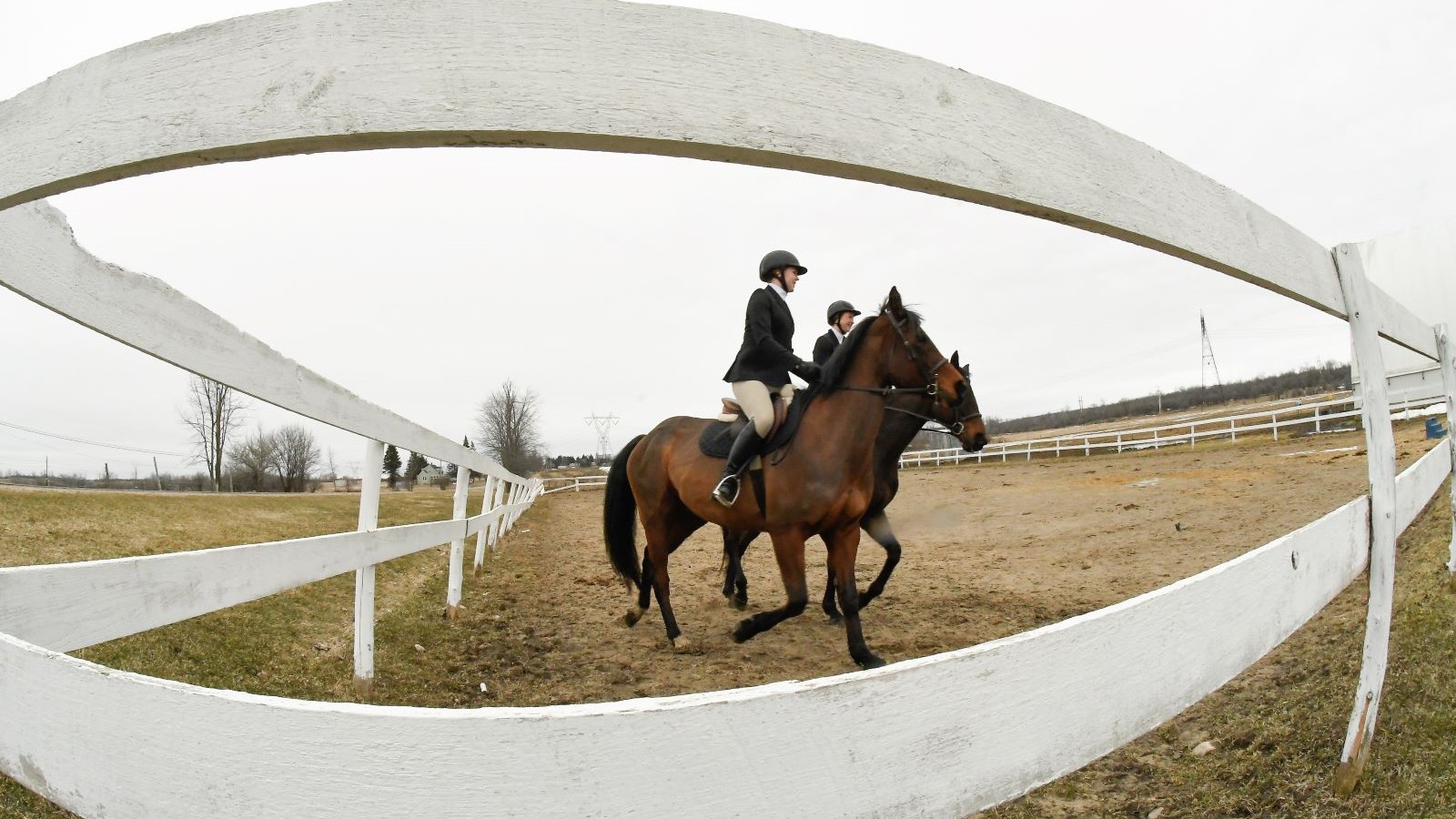 Clarkson Equestrian Club