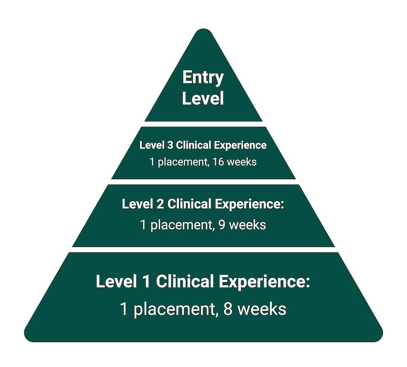 Pyramid of PT clinical experience 2025