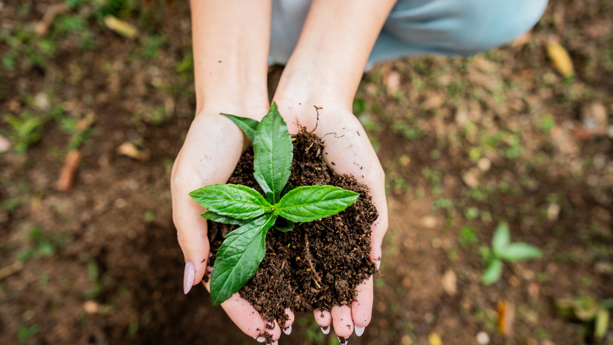 Major Sustainability Initiatives 